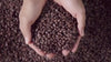 coffee black shop machine espresso pods company plus coupon code best roasts caffeine pouches cups descaling flavored club
